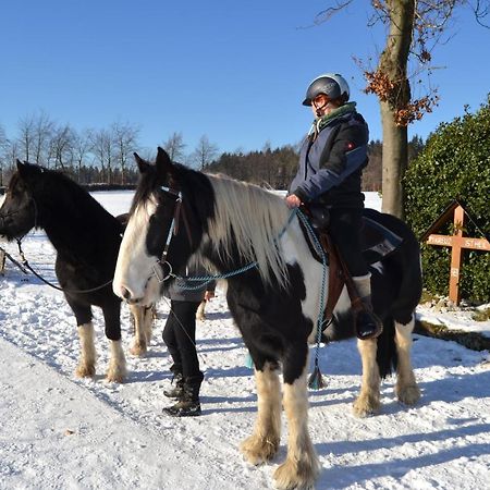 Ferien Bei Freunden Im Holzhaus Lejlighed Monschau Eksteriør billede