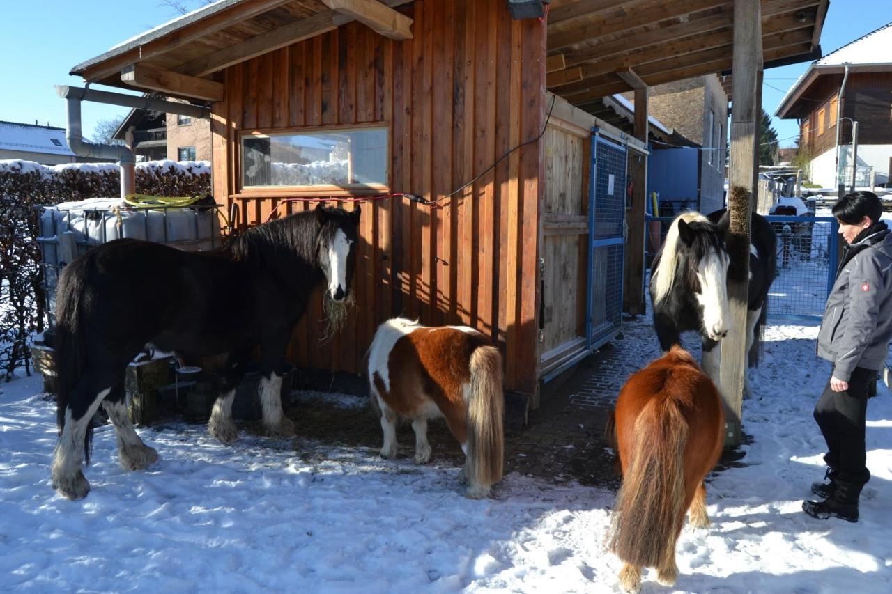 Ferien Bei Freunden Im Holzhaus Lejlighed Monschau Eksteriør billede