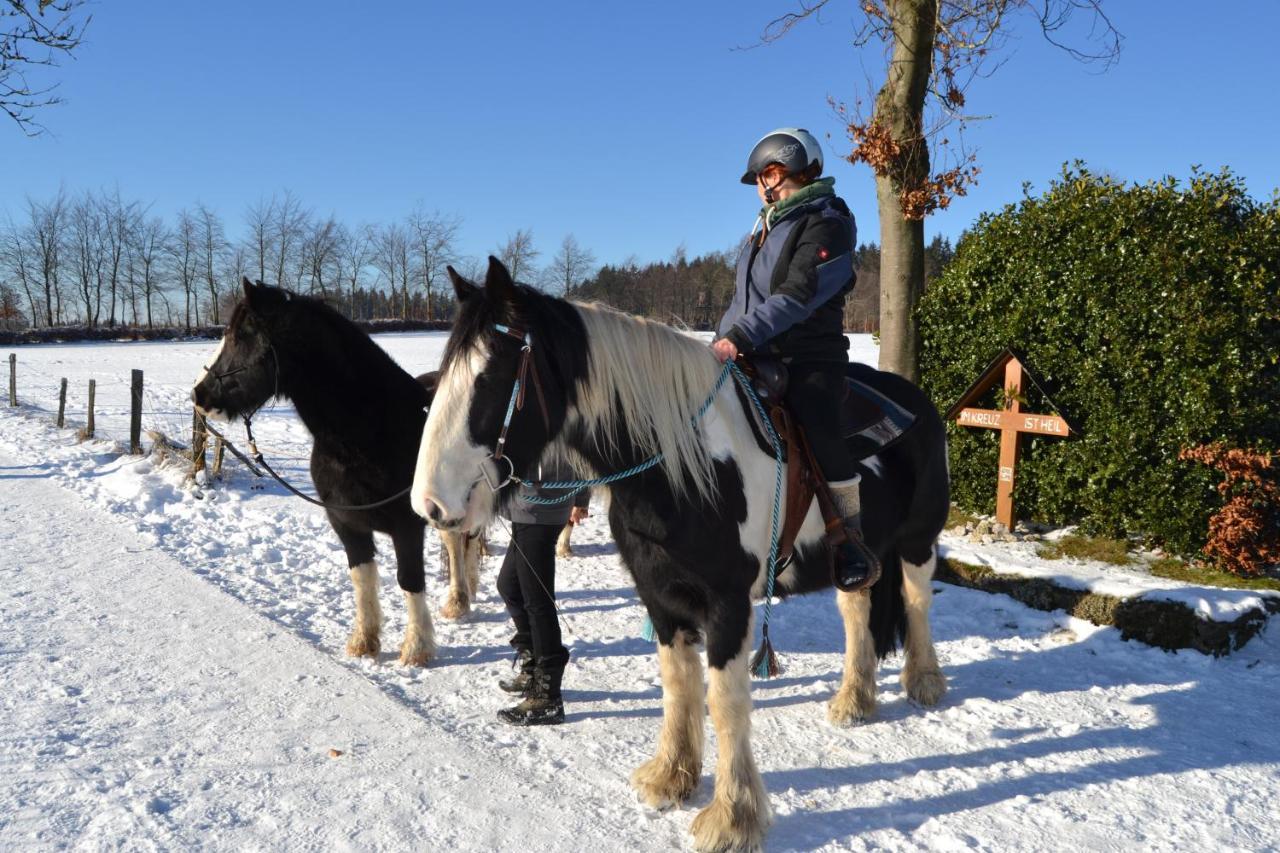 Ferien Bei Freunden Im Holzhaus Lejlighed Monschau Eksteriør billede